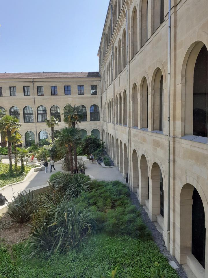 Pohled do zahrady Pohled do zahrady