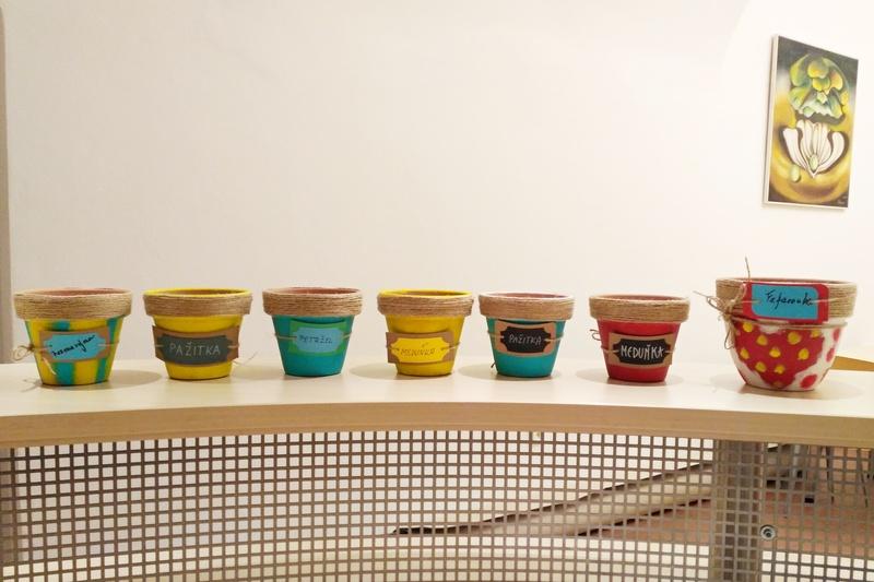 Květináč (únor 2019) Květináč (únor 2019)