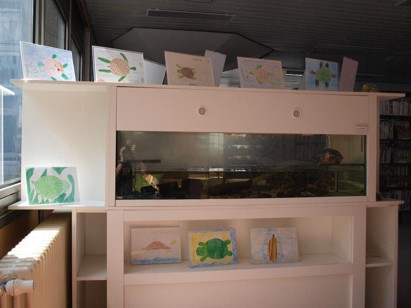 Akvárium s živým želvákem Karlem vítá při vstupu do knihovny (zdroj: Městská knihovna Most) Akvárium s živým želvákem Karlem vítá při vstupu do knihovny (zdroj: Městská knihovna Most)