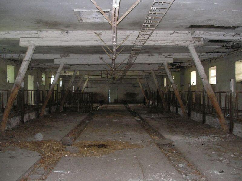 Interiér budoucí knihovny Interiér budoucí knihovny