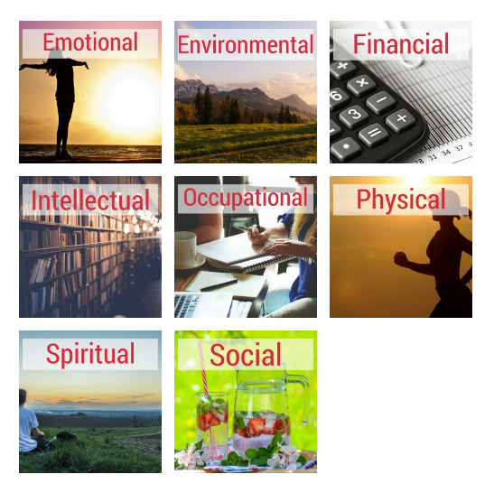 Osm hlavních prvků wellness (zdroj: https://ala-apa.org/wellness/, získáno 2022-07-26)