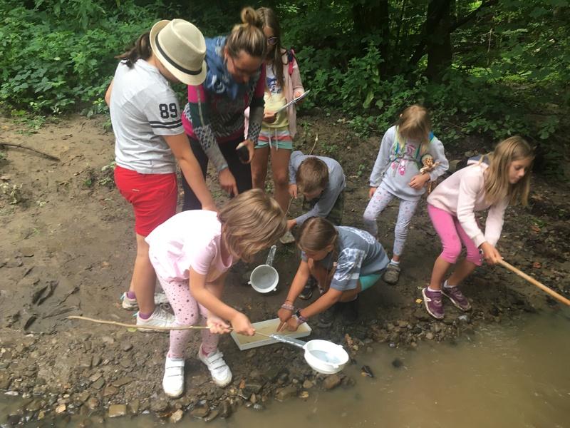 Tábor Přírodní detektiv – prozkoumáváme místní potok Tábor Přírodní detektiv – prozkoumáváme místní potok