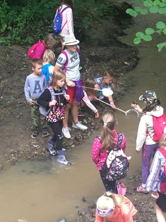 Určování bezobratlých v místním potoce Určování bezobratlých v místním potoce