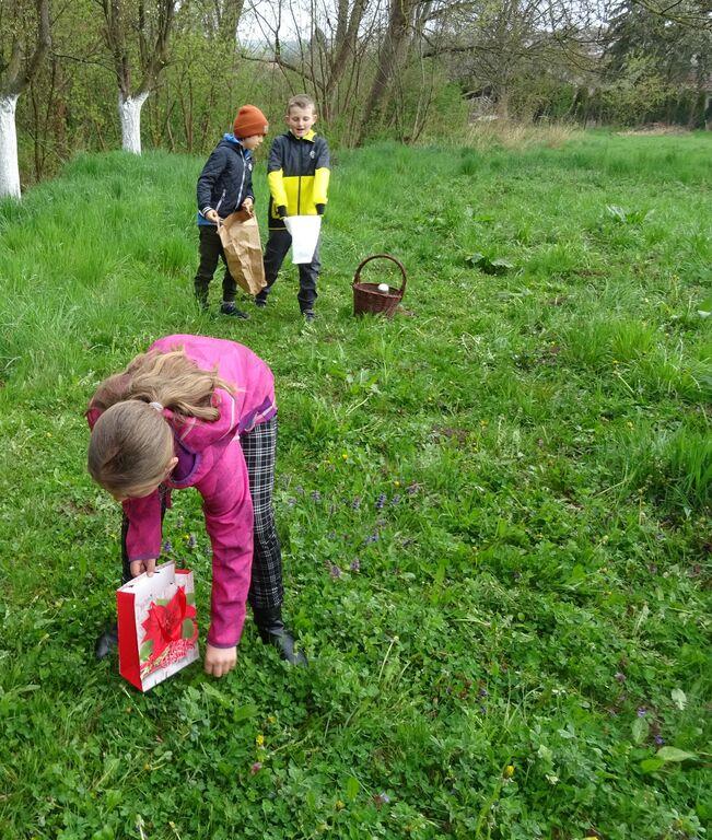 Sběr bylin v okolí školy Sběr bylin v okolí školy