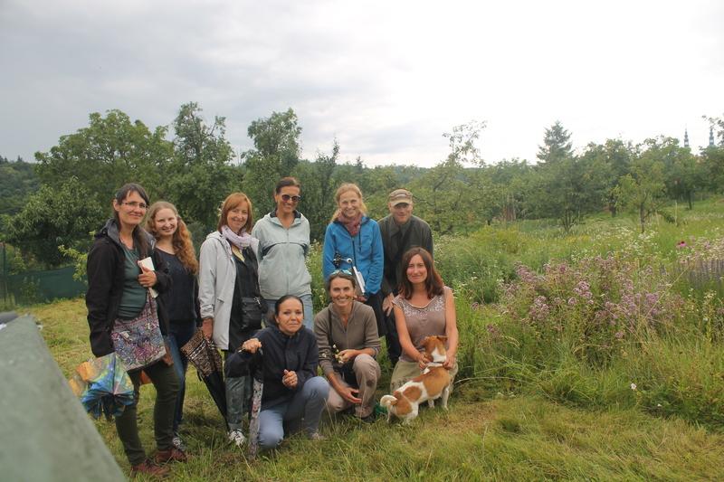 Letní bylinková vycházka Letní bylinková vycházka