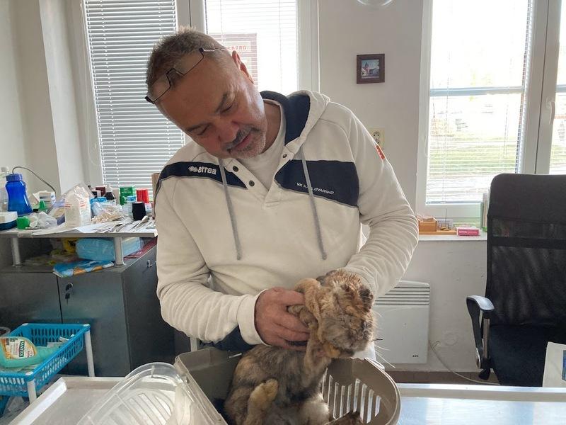 Obecní knihovna Třebčice Obecní knihovna Třebčice