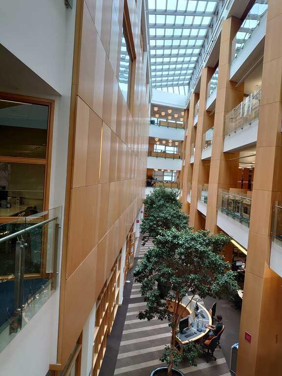 McClayova knihovna v Belfastu McClayova knihovna v Belfastu